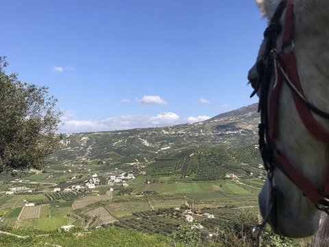 horse-riding-hersonisos-heraklion-greece-ιππασια-αλογα (5)