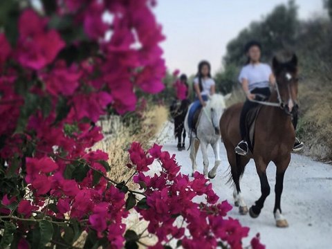 horse-riding-hersonisos-heraklion-greece-ιππασια-αλογα (2)