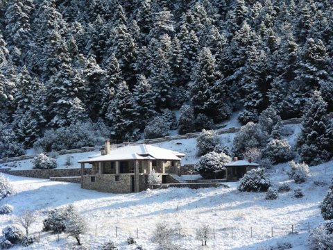 mountain-chalet-ziria-feneoa-doxa-lake-greece (14)