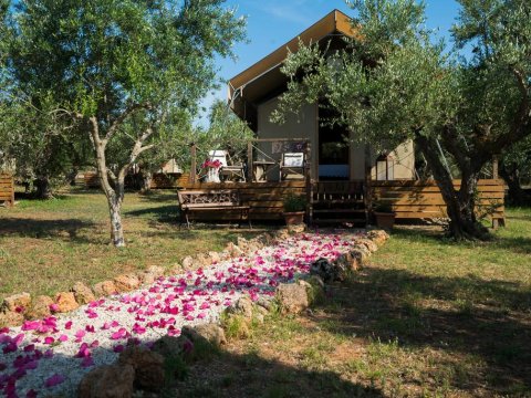 glambing-tents-agrikies-marathopoli-accommodation-messinia-greece-διαμονη (14)