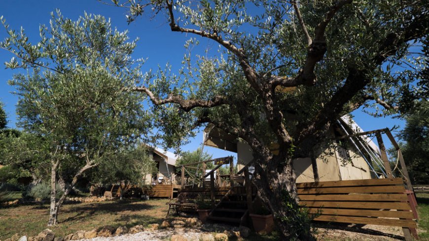 Glambing Tents in Marathopoli Messinia