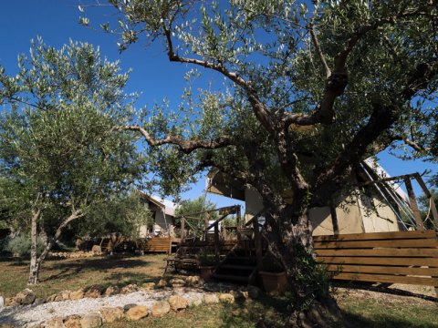 glambing-tents-agrikies-marathopoli-accommodation-messinia-greece-διαμονη (4)