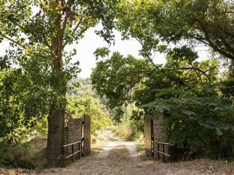 treehouse-δενδροσπιτο-amaliada-greece (18)