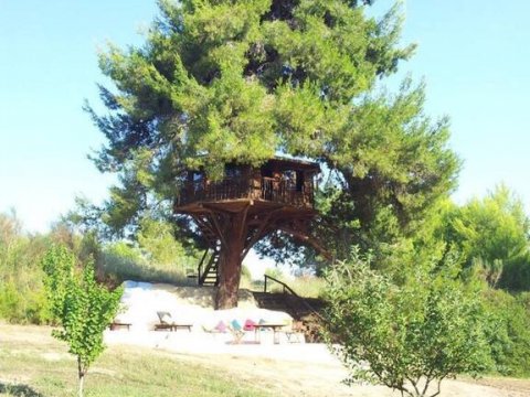treehouse-δενδροσπιτο-amaliada-greece (17)