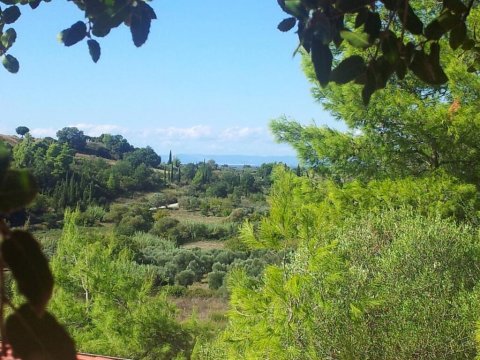 treehouse-δενδροσπιτο-amaliada-greece (16)