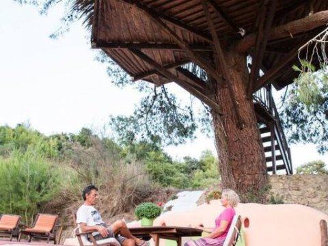 treehouse-δενδροσπιτο-amaliada-greece (11)