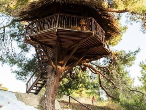 treehouse-δενδροσπιτο-amaliada-greece (8)