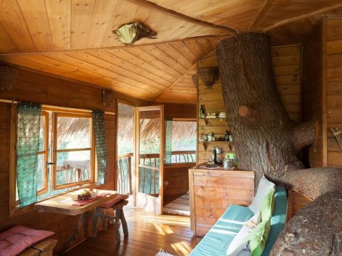 treehouse-δενδροσπιτο-amaliada-greece (6)