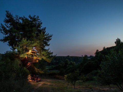 treehouse-δενδροσπιτο-amaliada-greece (5)
