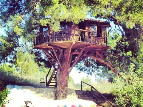 treehouse-δενδροσπιτο-amaliada-greece (4)