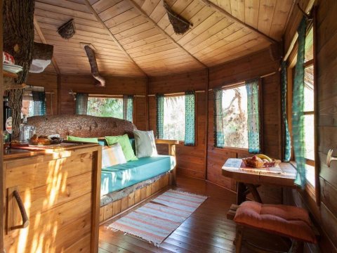 treehouse-δενδροσπιτο-amaliada-greece (3)