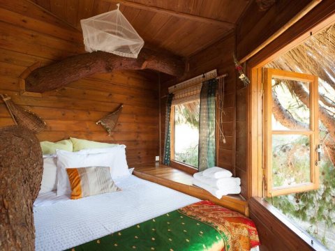 treehouse-δενδροσπιτο-amaliada-greece (1)