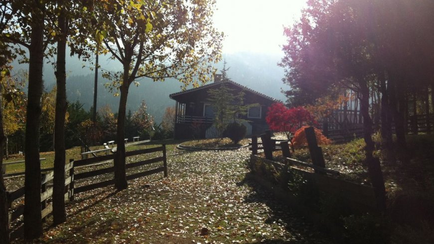 Country House Pavliani Fthiotida, Oiti