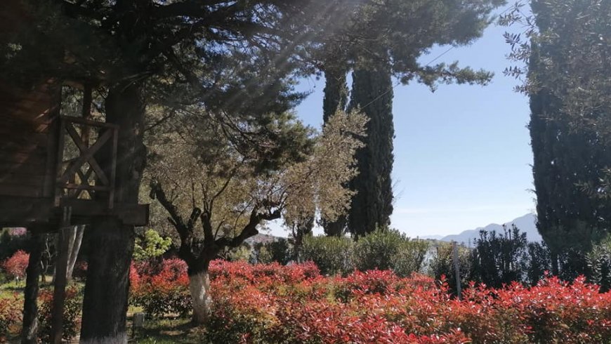 Οικολογικό Σπιτάκι Ράχες κοντά Λαμία