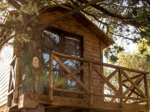 treehouse-δενδροσπιτο-raches-lamia-greece (2)