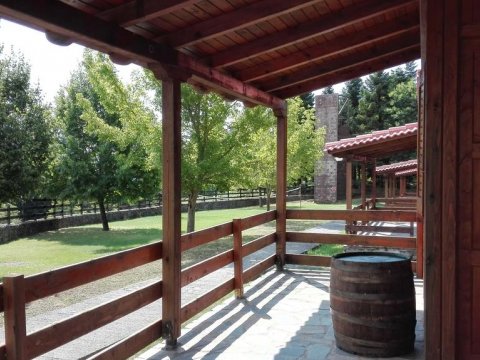 wood-houses-forest-village-karpenisi-megali-kapsi-greece (27)