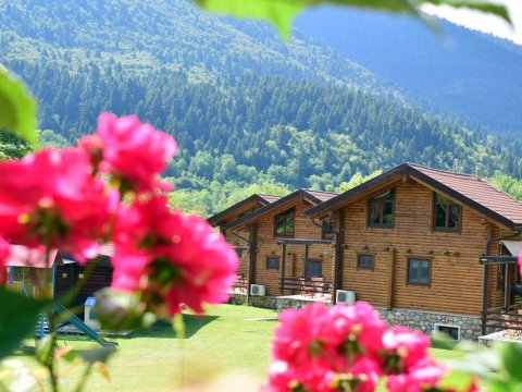 wood-chalet-house-σπιτια-karpenisi-greece (1)