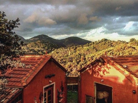 eco-farm-guest-house-plomari-lesvos-greece (35)