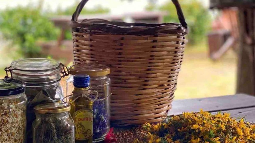 Σπιτάκια σε Οικολογική Φάρμα Πλωμάρι Λέσβος
