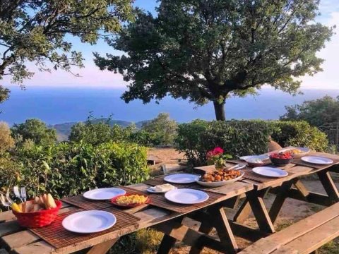 eco-farm-guest-house-plomari-lesvos-greece (15)