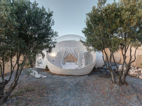 bubble-tents