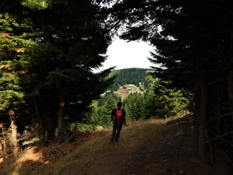 καταφυγιο-αγραφα-πλαστηρα-refuge-shelter-agrafa-greece (19)