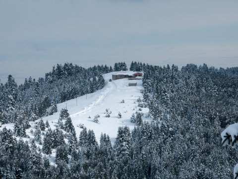 καταφυγιο-αγραφα-πλαστηρα-refuge-shelter-agrafa-greece (17)