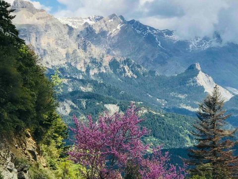 igloo-houses-spitia-tzoumerak-pindus-greece (41)