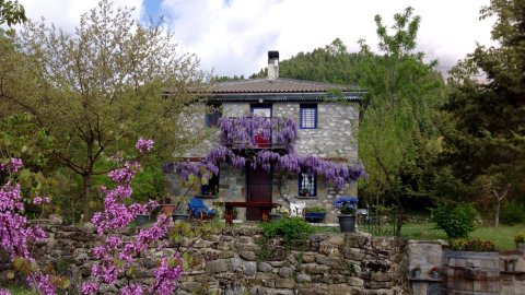 Stone Cottage House Tzoumerka