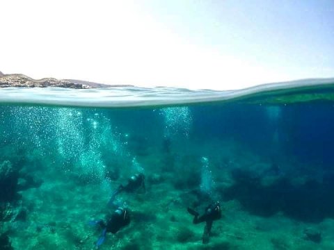 καταδυσεισ-σκυρος-diving