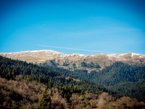 chalet-village-kedra-pougakia-fthiotida-greece (3)