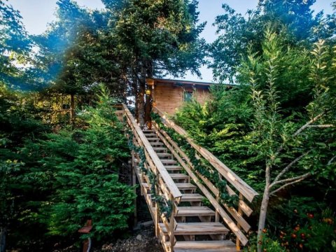 δεντροσπιτο-treehouse-poygkakia-fthiotidas-kedra-greece (27)