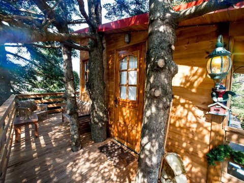 δεντροσπιτο-treehouse-poygkakia-fthiotidas-kedra-greece (25)