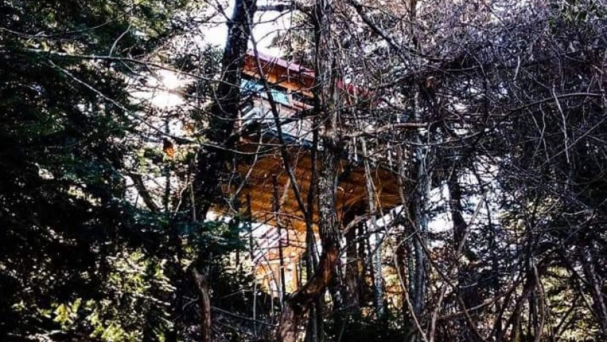 Tree house Pougakia Fthiotida