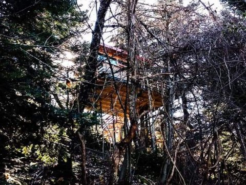 δεντροσπιτο-treehouse-poygkakia-fthiotidas-kedra-greece (13)