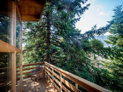 δεντροσπιτο-treehouse-poygkakia-fthiotidas-kedra-greece (8)