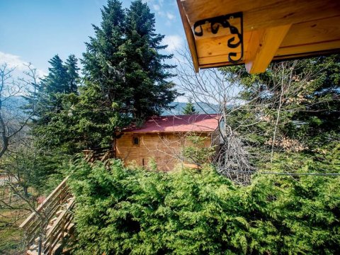 δεντροσπιτο-treehouse-poygkakia-fthiotidas-kedra-greece (5)