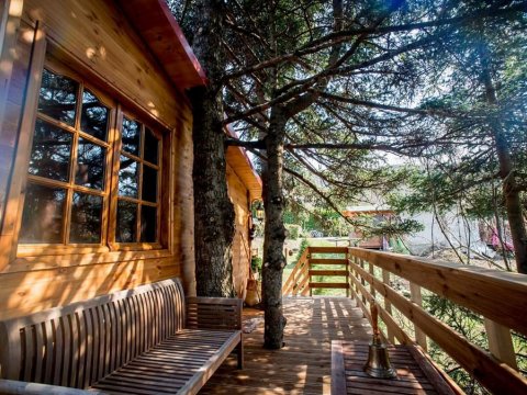 δεντροσπιτο-treehouse-poygkakia-fthiotidas-kedra-greece (4)