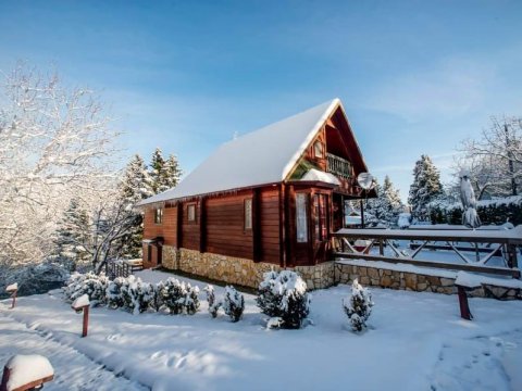 family-wooden-chalet-kedra-pougakia-ftiotidas-greece-spiti (9)