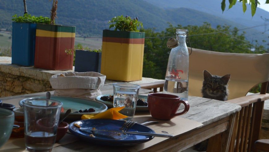 Traditional Guesthouse Zagori Kato Pedina 