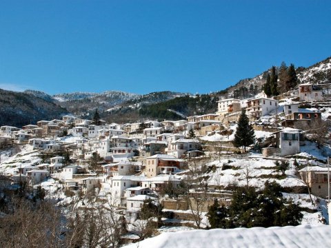 guest-house-traditional-kastanitsa-arcadia-spiti-greece (27)