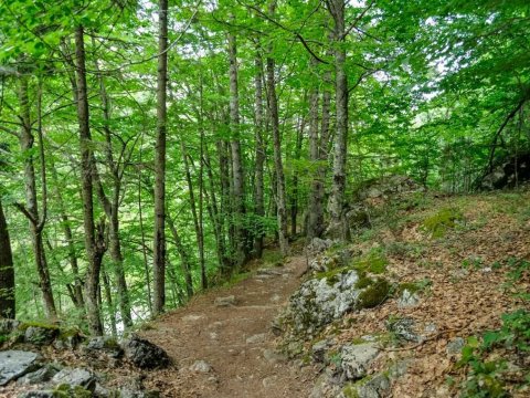 hiking-2-days-olympus-mytikas-greece (7)
