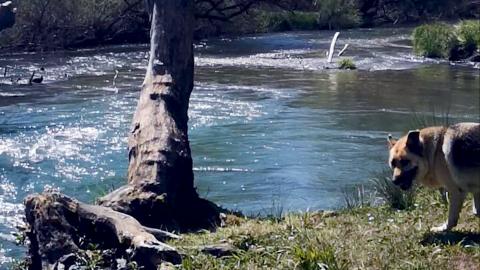 Ladonas River Arcadia Peloponnes