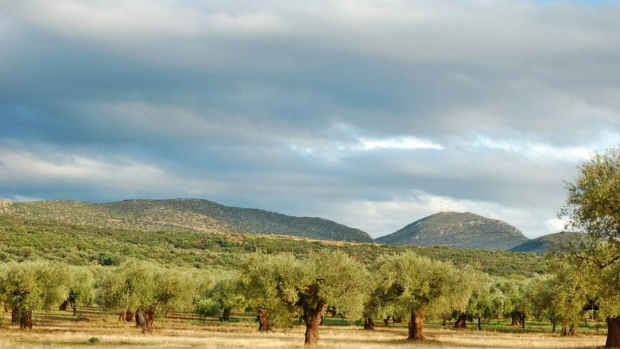 Σπίτια Αγροικίες Γούβες Λακωνίας