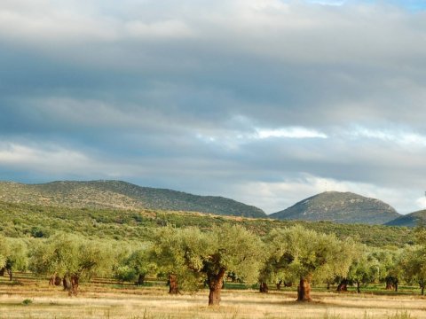 farm-houses-gouves-lakonia-greece-σπιτια-αγροικιες (3)