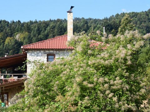 stone-house-treikala-corinthia-greece-σπιτι-ξενωνας (19)