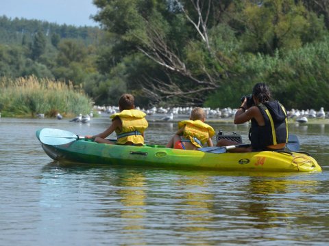 canoe-kayak-river-nestos-ποταμος-greece (6)
