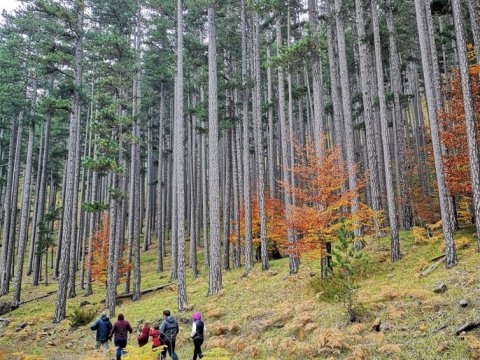 Λίμνες Φλέγγα, Βάλια Κάλντα, Δρακόλιμνη Βερλίγκα