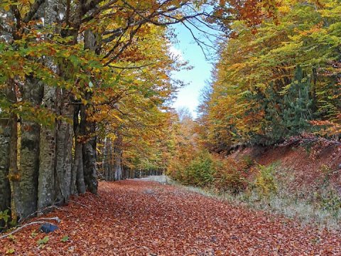 βαλια-καλντα-λιμνες-φλεγγα-πεζοπορια-hiking-greece (1)