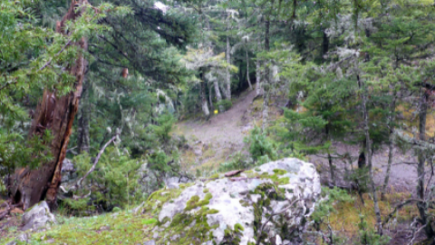 menalon-trail-hiking-πεζοπορια-greece-βαλτεσινικο (4)